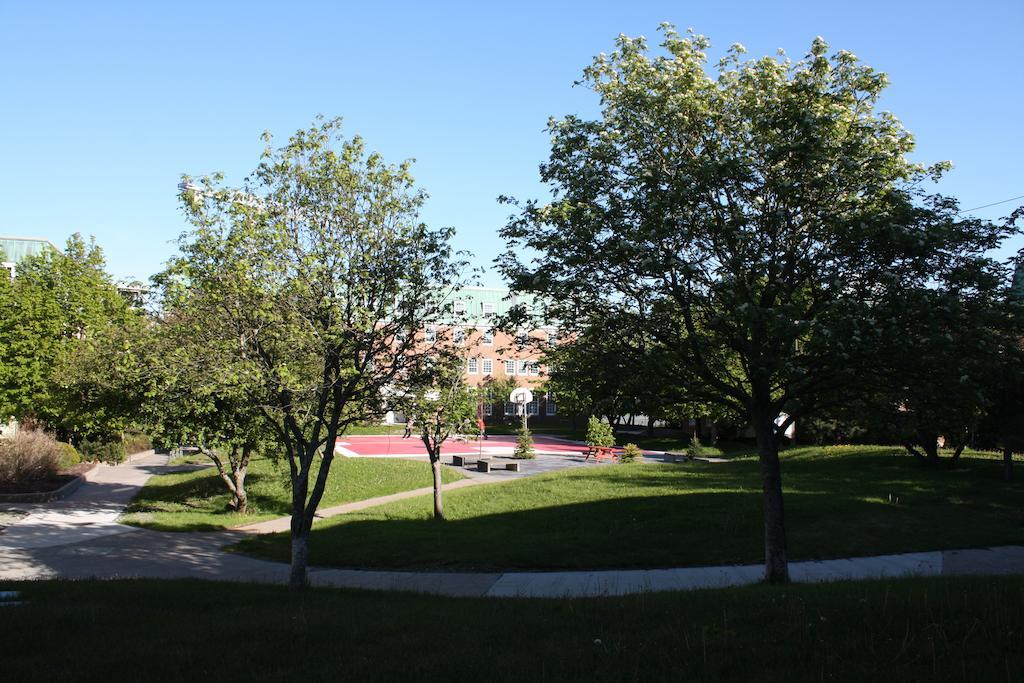 Memorial University St. John's Ngoại thất bức ảnh